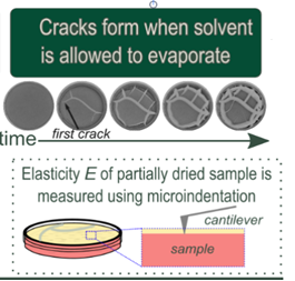 Researchers develop recipe